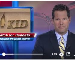 NBC Right now video NBC Right now video