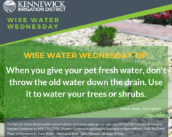 Wise Water Wednesday 6.6.18 Wise Water Wednesday 6.6.18